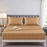 Cotton Sateen Stripe Fitted Sheet 3 Pcs - Camel